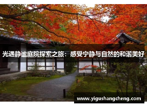 光遇静谧庭院探索之旅：感受宁静与自然的和谐美好
