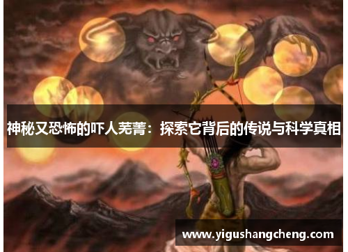 神秘又恐怖的吓人芜菁：探索它背后的传说与科学真相