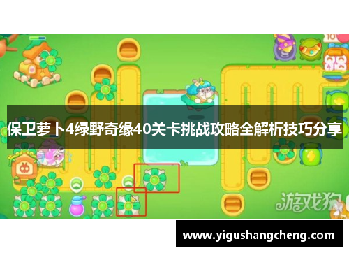 保卫萝卜4绿野奇缘40关卡挑战攻略全解析技巧分享