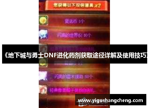 《地下城与勇士DNF进化药剂获取途径详解及使用技巧》