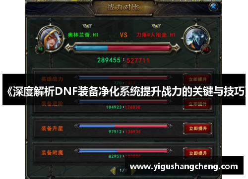 《深度解析DNF装备净化系统提升战力的关键与技巧》