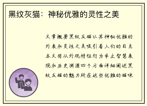 黑纹灰猫：神秘优雅的灵性之美